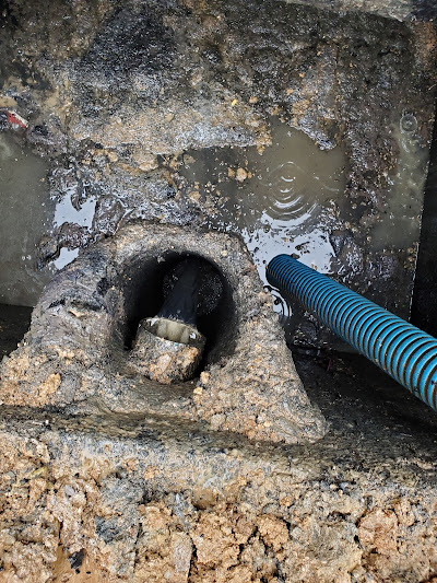 Consequences of neglecting septic tank maintenance